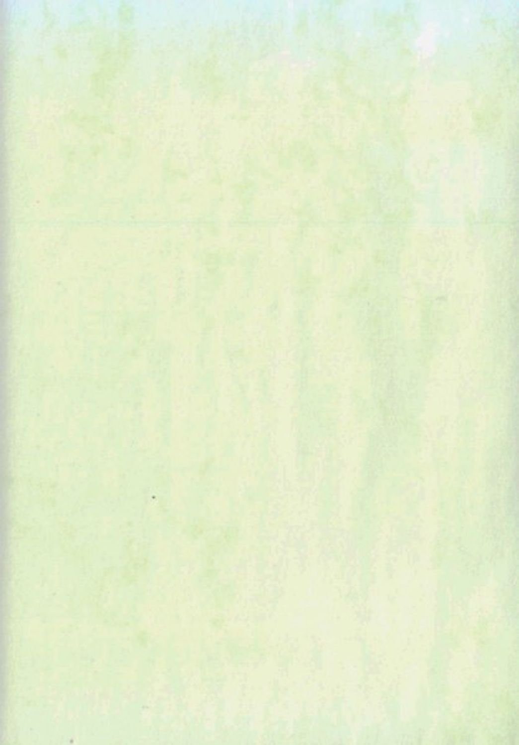 BURI Briefpapier A4/A5 Druckerpapier Briefpapier Einlegeblätter Einleger marmoriert Grün
