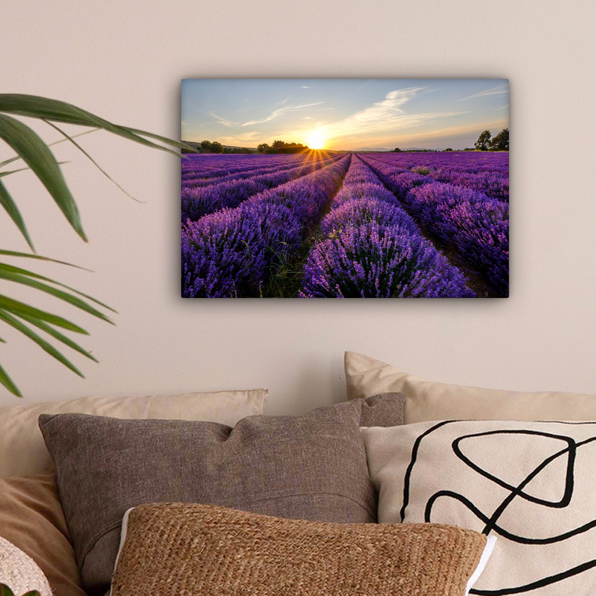 OneMillionCanvasses® Leinwandbild Lavendel - Blumen - günstig online kaufen