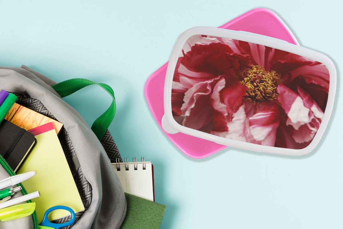 MuchoWow Kunststoff, rosa rote Snackbox, Brotdose Brotbox Lunchbox Erwachsene, (2-tlg), Eine Kinder, Kunststoff für Pfingstrose, Mädchen, verblühte