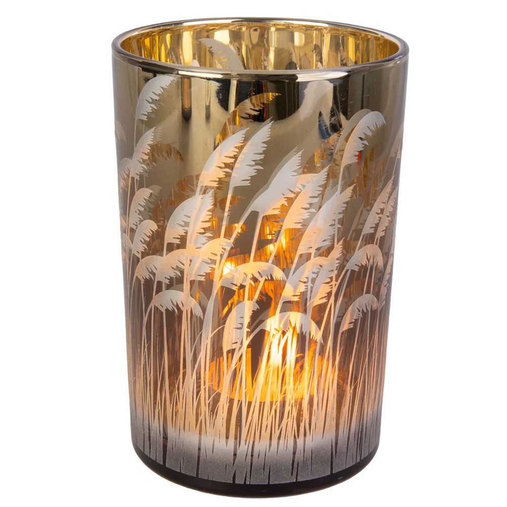 MICA Dekolicht Windlicht - Gräser - günstig online kaufen