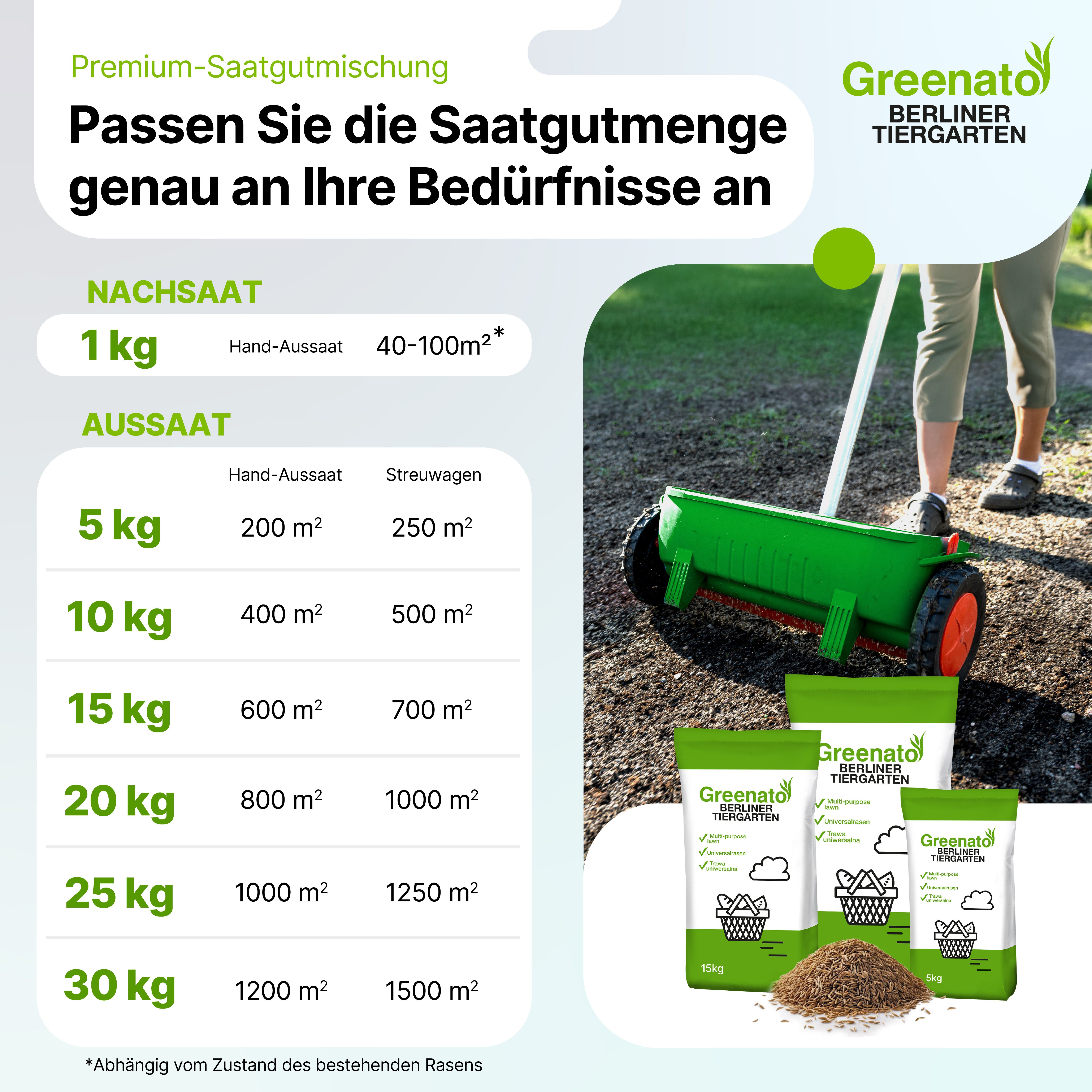 Greenato Rasensamen Berliner Tiergarten - Grassamen schnellkeimend -, 1 kg, für Zierrasen, Schattenrasen oder Trockenrasen