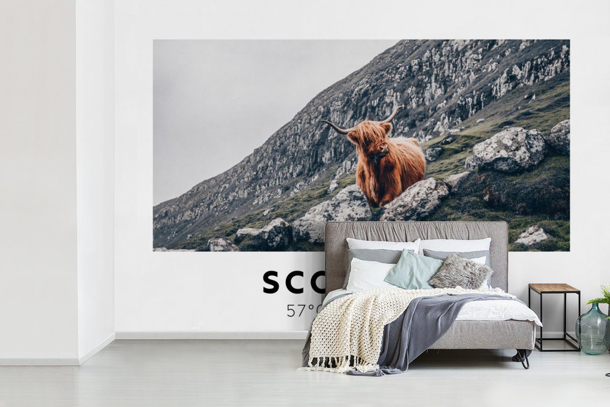 Fototapete Wohnzimmer, - MuchoWow Schottische - Kinderzimmer, St), Schottland Vinyl Berge Highlander Tapete Wallpaper für Matt, - (6 Schlafzimmer, bedruckt, Tiere,