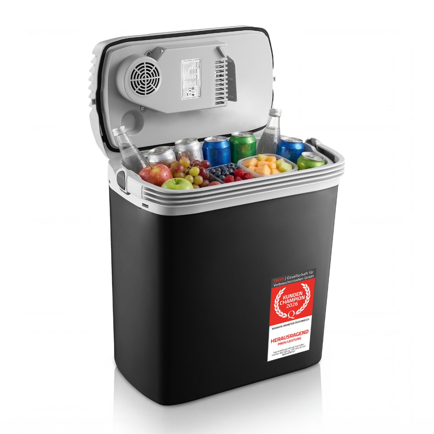TZS FIRST AUSTRIA Elektrische Kühlbox 19L, Kühlbox, 12V /230V Anschluss, 12-V-Stecker fürs Auto, für Camping, Festivals, Reisen, mit Kühl- und Warmhaltefunktion