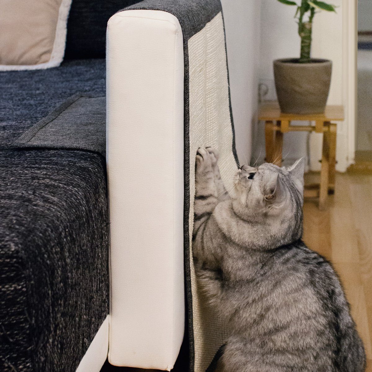 Navaris Kratzpappe Katzen Kratzmatte Kratzschutz Sofa günstig online kaufen