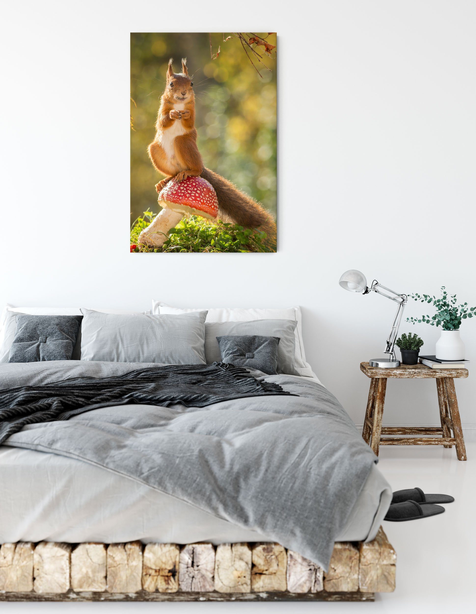 auf Fliegenpilz inkl. auf fertig Leinwandbild bespannt, Zackenaufhänger Eichhörnchen Eichhörnchen (1 Leinwandbild Pixxprint Fliegenpilz, St),