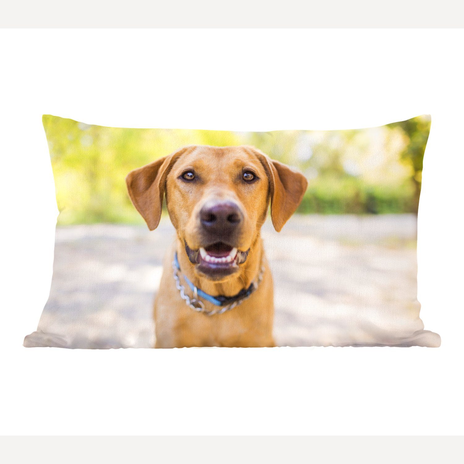 Labrador Retriever draußen, Dekokissen Füllung, Dekokissen Wohzimmer Zierkissen, mit MuchoWow Dekoration, Schlafzimmer