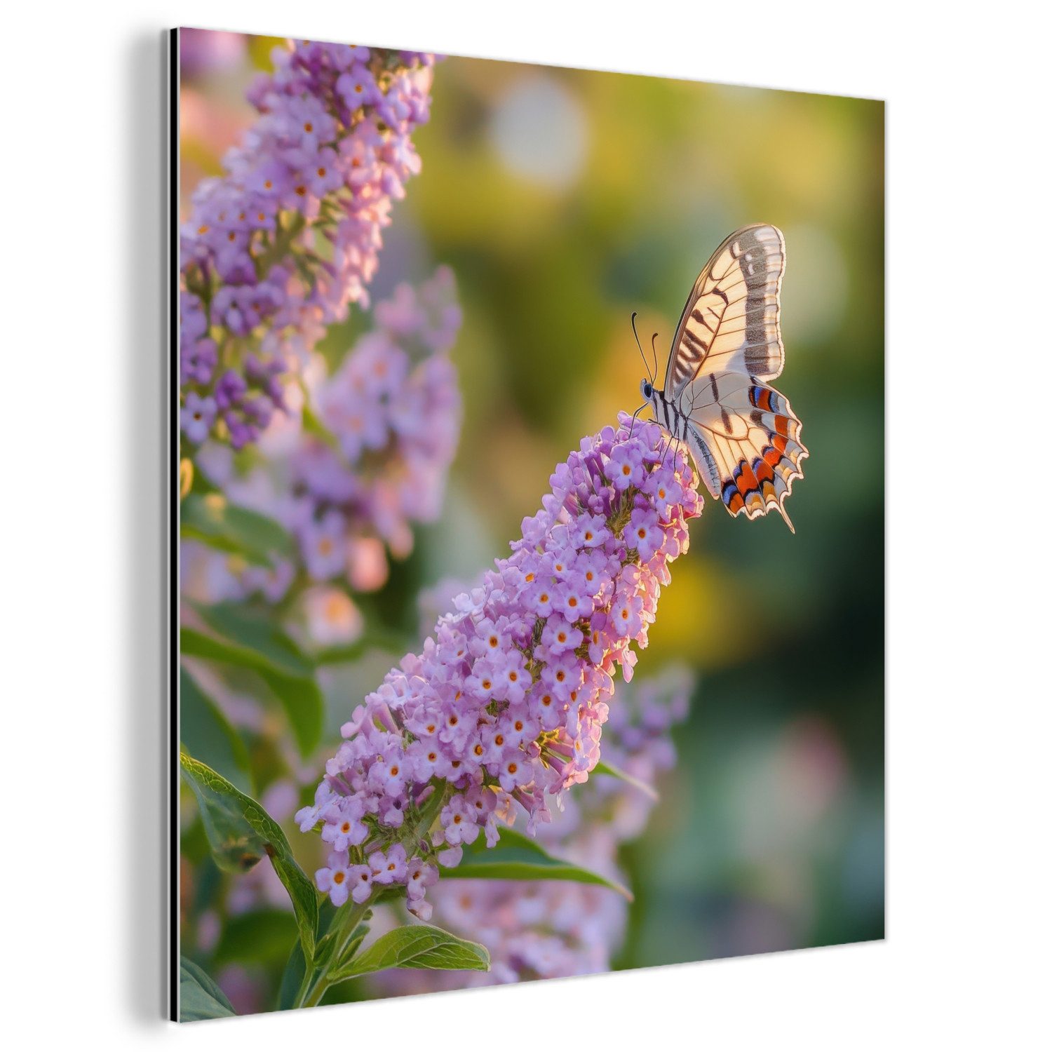 MuchoWow Metallbild Verschnörkelt - Schmetterling - günstig online kaufen