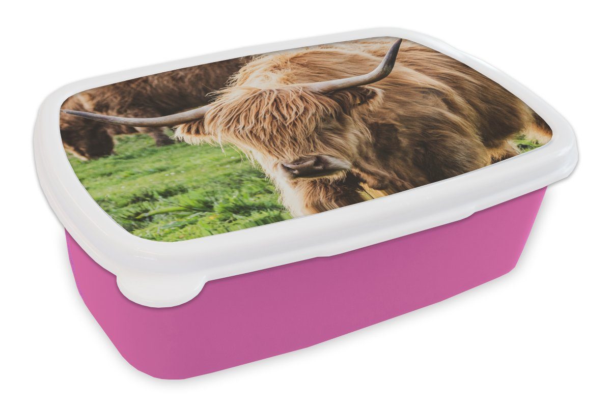 MuchoWow Lunchbox Schottische Highlander - Tiere - Gras, Kunststoff, (2-tlg), Brotbox für Erwachsene, Brotdose Kinder, Snackbox, Mädchen, Kunststoff rosa