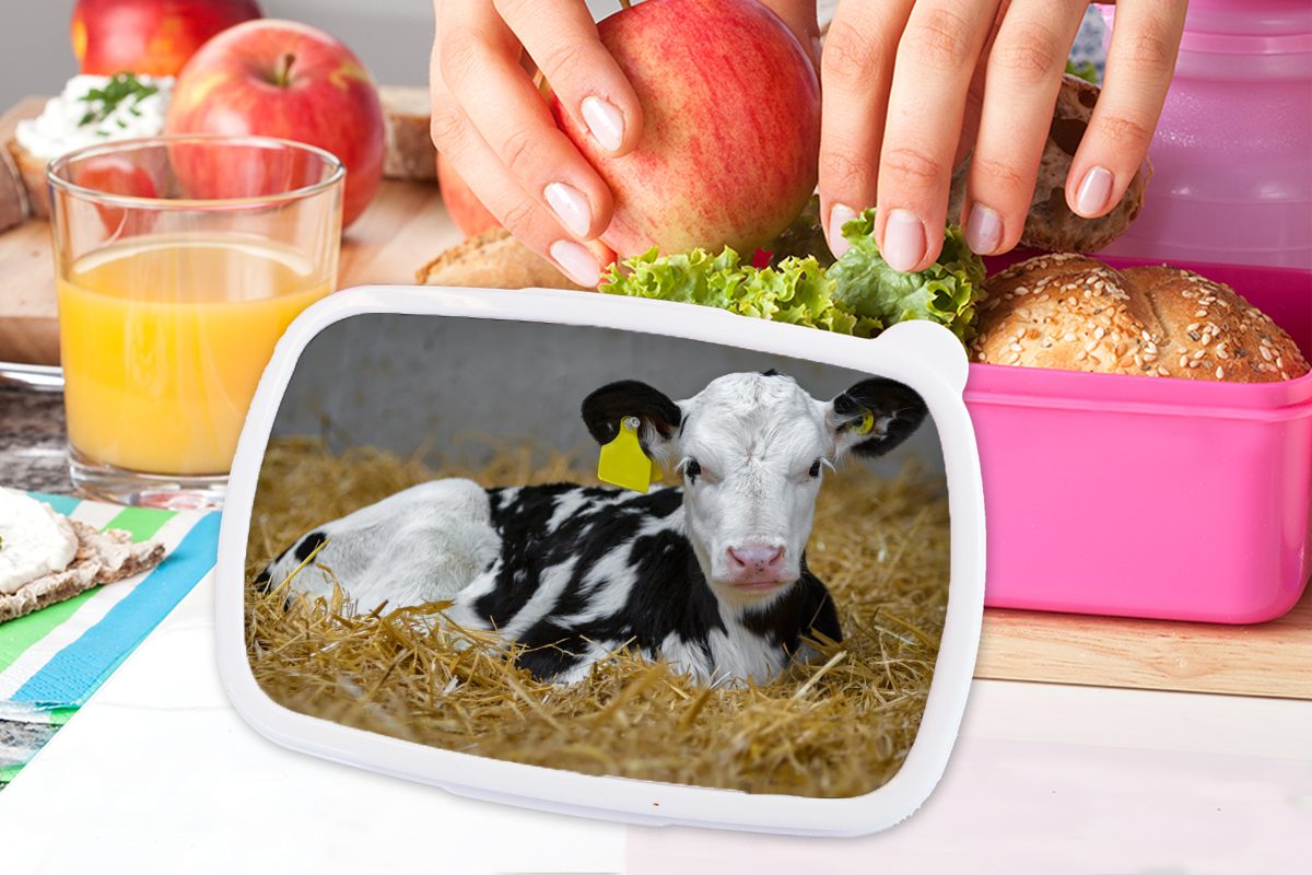 für Kunststoff Snackbox, Kalb Brotbox Erwachsene, Tier, - - Kinder, (2-tlg), rosa Mädchen, - Stroh Lunchbox Brotdose Kuh Kunststoff, MuchoWow