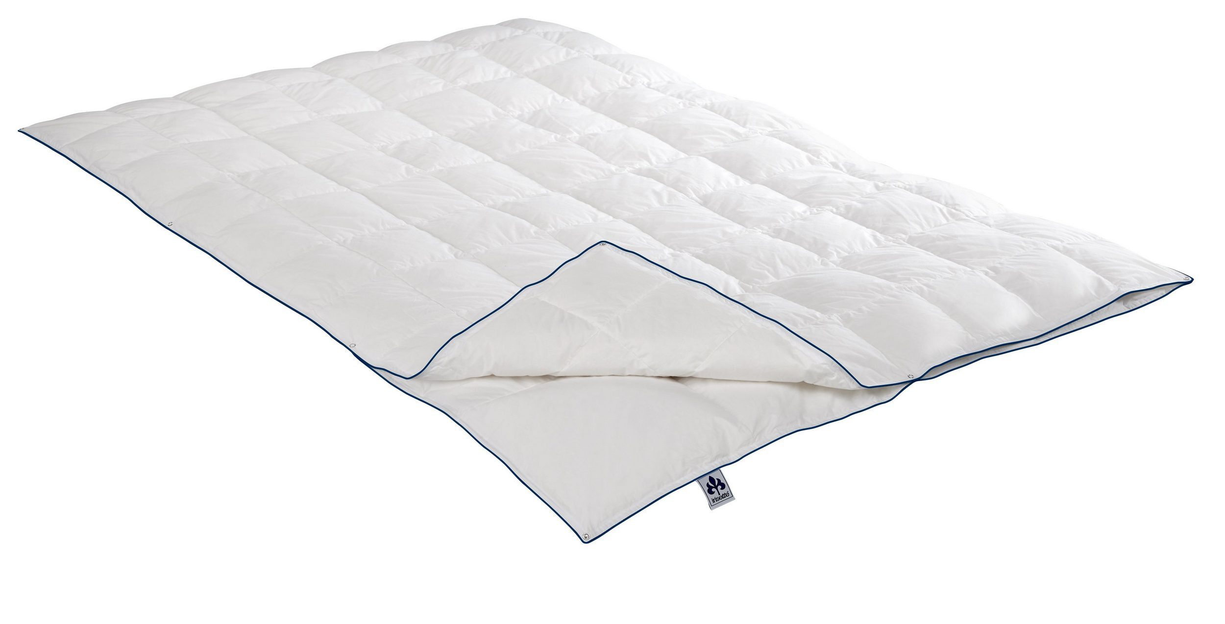 Irisette Daunenbettdecke Daunendecke Luna, Füllung: 100% Gänsedaunen, Bezug günstig online kaufen