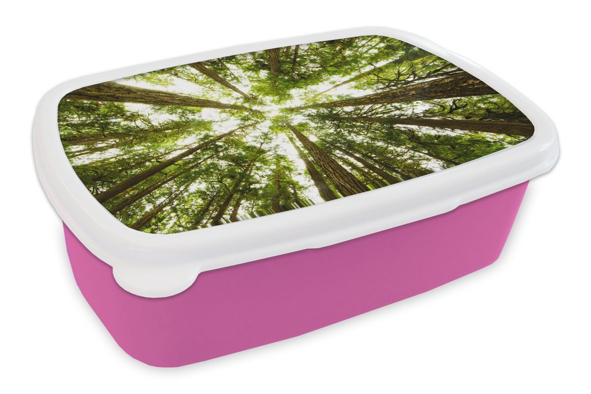 späteste Arbeit MuchoWow Lunchbox Erwachsene, Hohe Dschungel, im für Kinder, Snackbox, Kunststoff, Mädchen, rosa grüne Brotdose Brotbox Bäume (2-tlg), Kunststoff