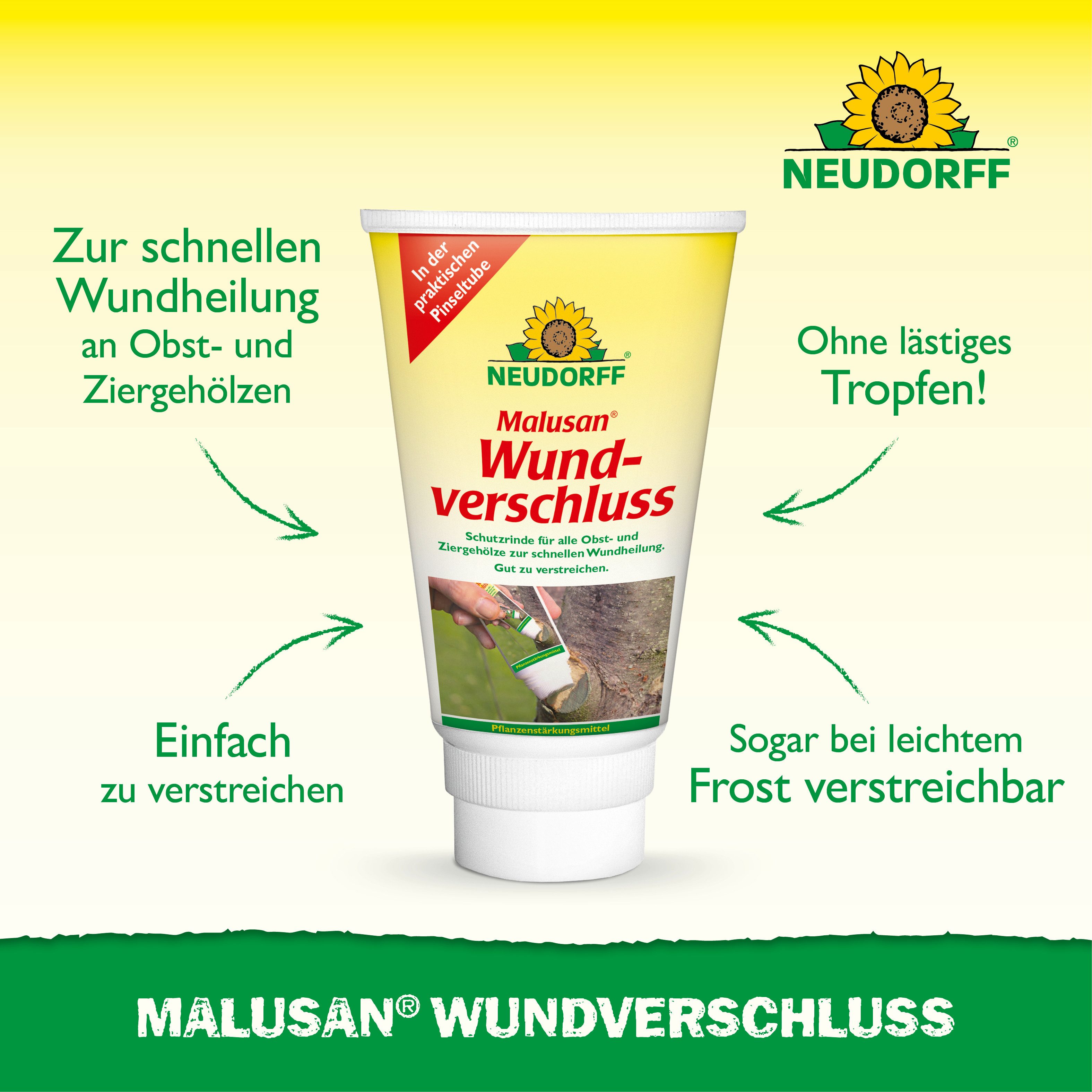 Neudorff Baum-Wundverschluss Malusan Wundverschluss Pinseltube 275 ml, 275 ml, 1 St., Fördert die Wundheilung bei Schnitt- und Rindenwunden, 275 ml Wundverschlu – Bild 2 von 5