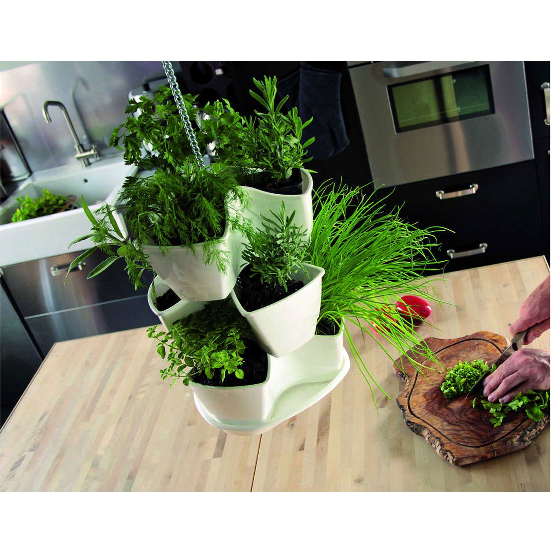 BigDean Kräutertopf Kräutergarten anthrazit hängend Kräuterampel Blumentopf Blumenampel