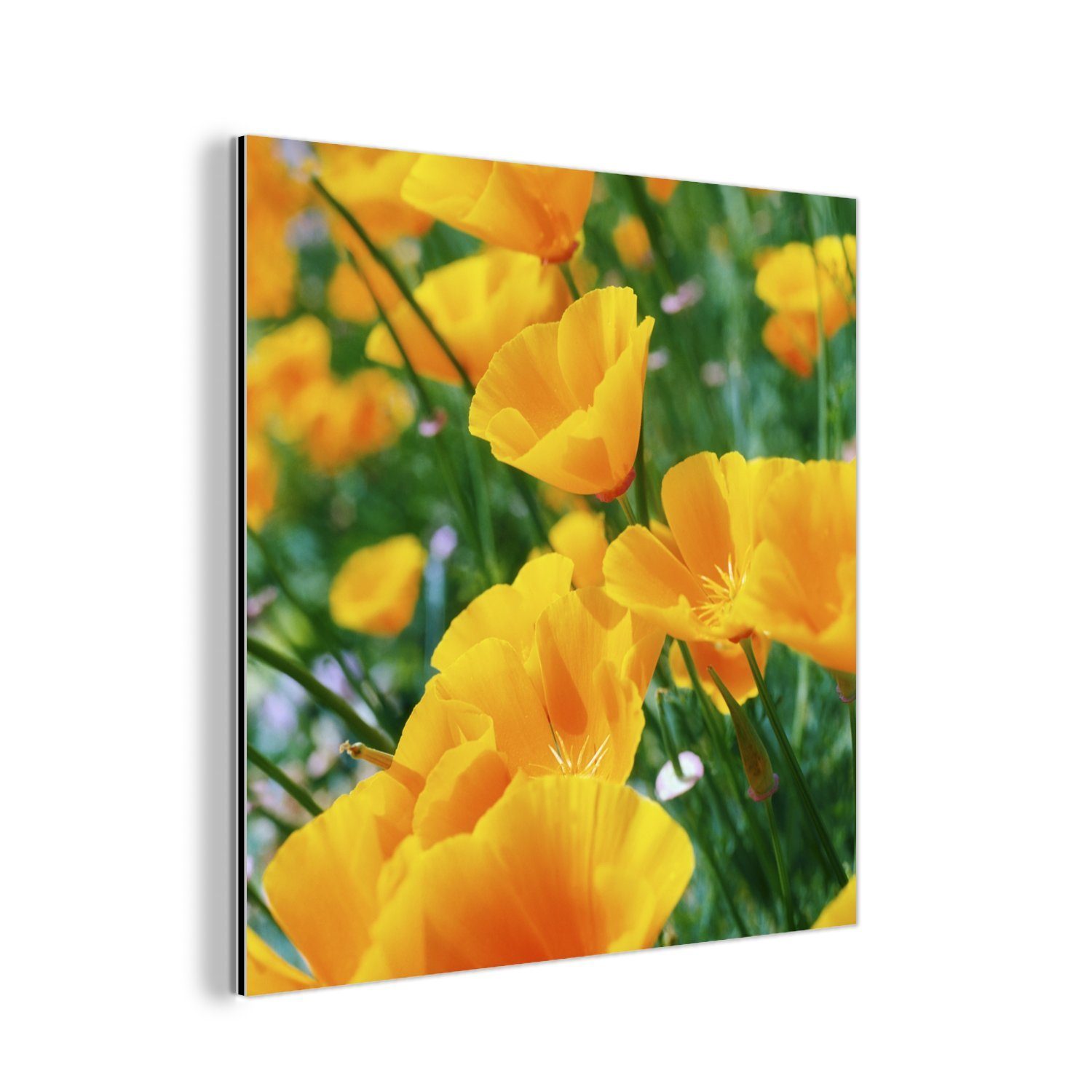 MuchoWow Metallbild Blumen - Garten - Orange, (1 St), Alu-Dibond-Druck, Gemälde aus Metall, Aluminium deko