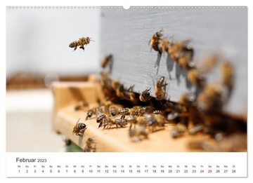 CALVENDO Wandkalender Bienen - Die fleißigen Tierchen die den Honig herstellen. (Premium, hochwertiger DIN A2 Wandkalender 2023, Kunstdruck in Hochglanz)
