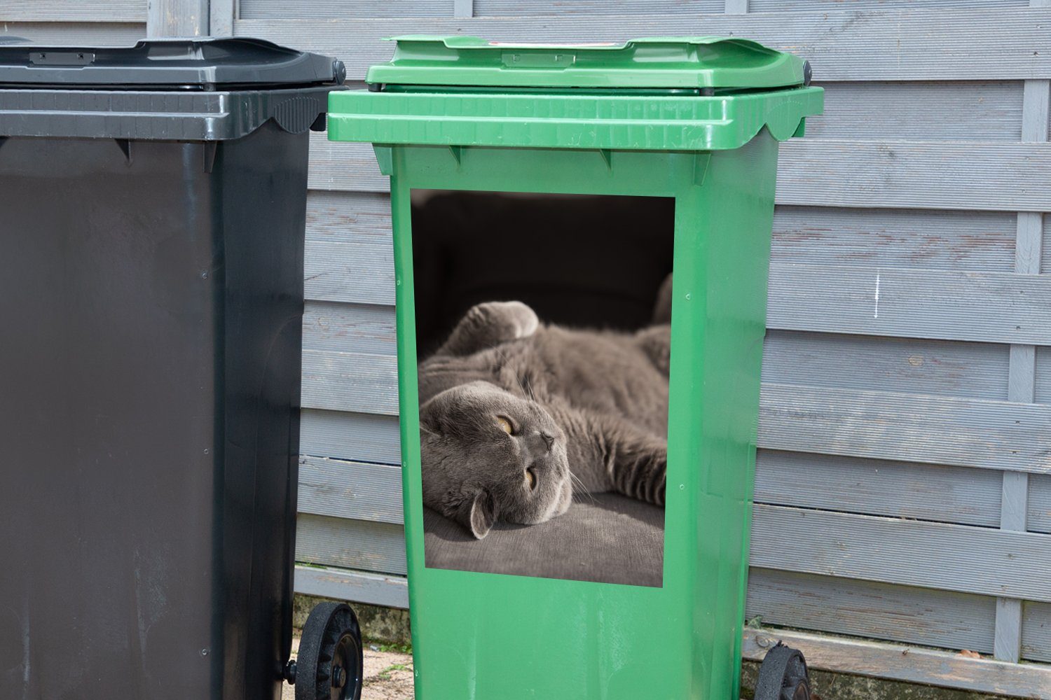 Grau Mülltonne, Wandsticker - St), Tier Abfalbehälter - Container, Katze MuchoWow (1 Sticker, Mülleimer-aufkleber,