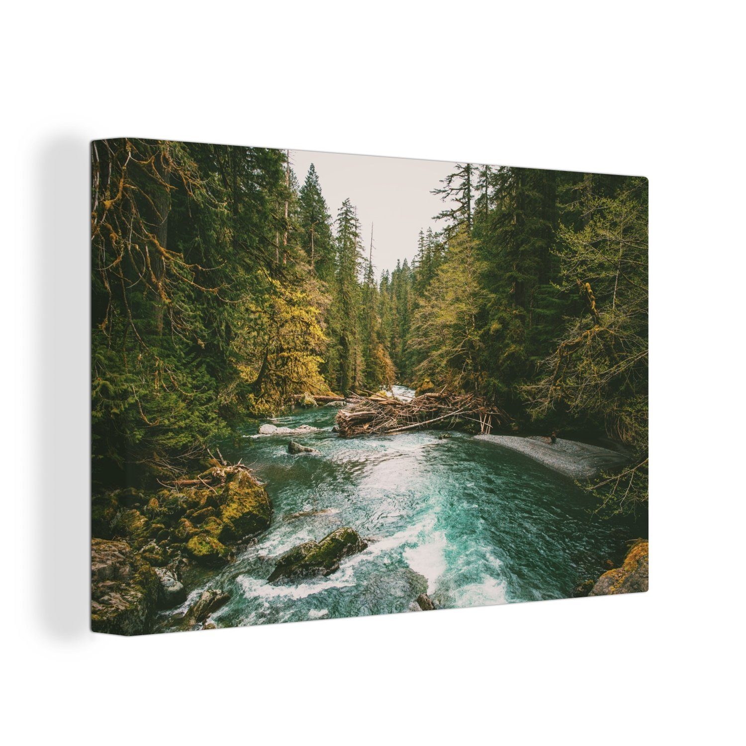 OneMillionCanvasses® Leinwandbild Fluss im Olympic National Park, (1 St), Wandbild Leinwandbilder, Aufhängefertig, Wanddeko, 30x20 cm