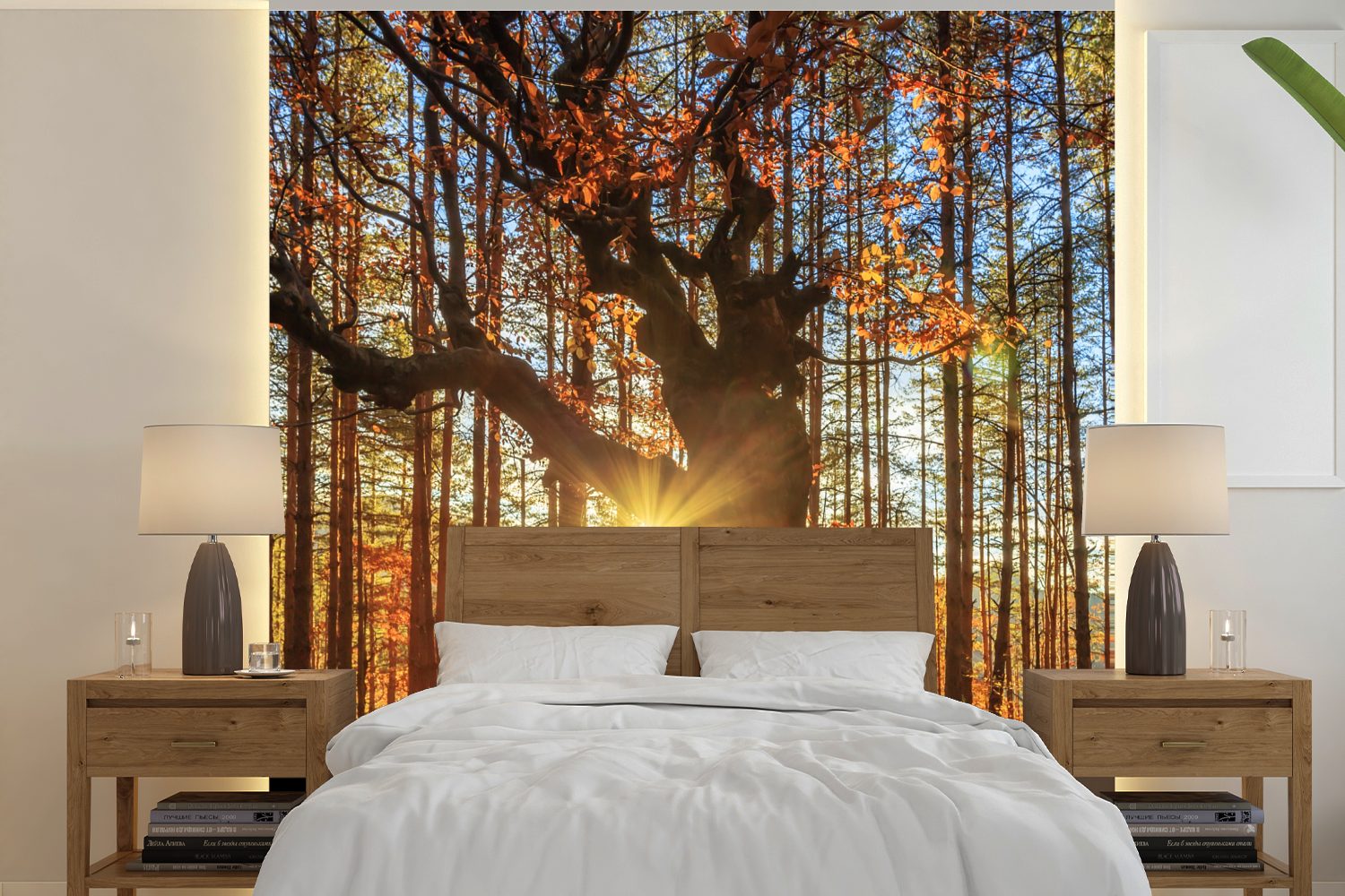 MuchoWow Fototapete Herbst - Sonne - Baum, Matt, bedruckt, (5 St), Vinyl Tapete für Wohnzimmer oder Schlafzimmer, Wandtapete