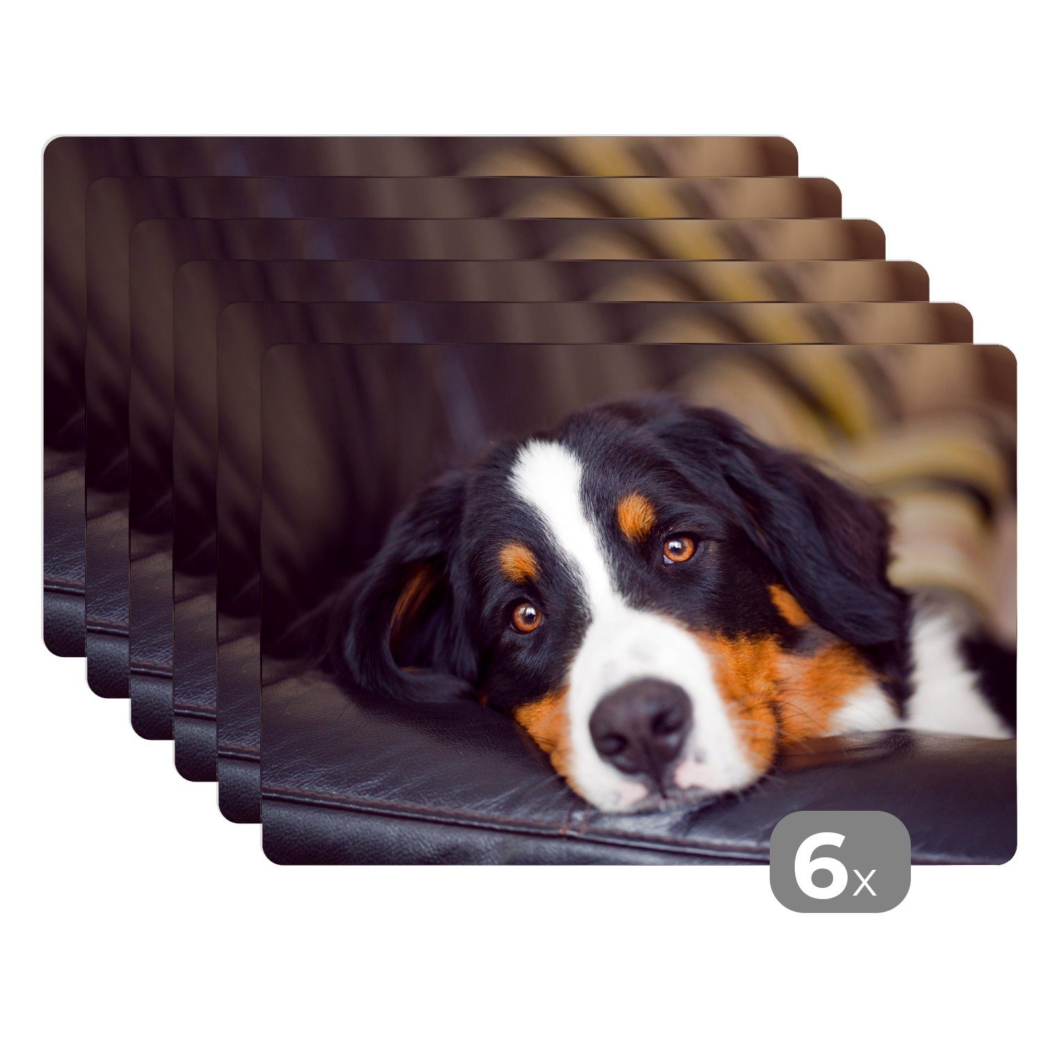 Platzset, Ein Berner Sennenhund liegt auf dem Sofa, MuchoWow, (6-St), Platzset, Platzdecken, Platzmatte, Tischmatten, Schmutzabweisend | Tischsets