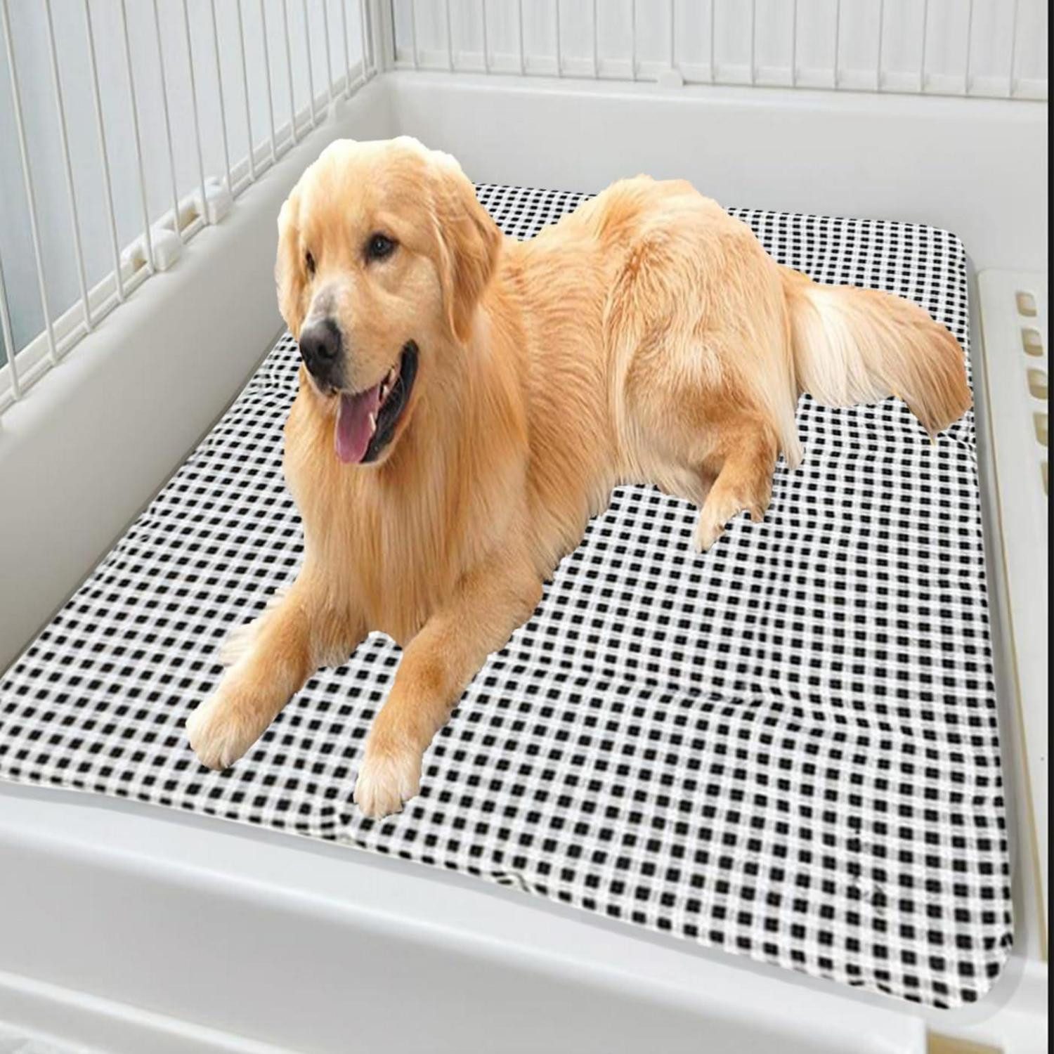 LuxusKollektion Hundematratze Hunde/Katzenbett Komfort 70x90cm Schwarz