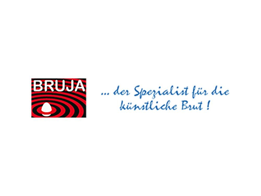 Bruja