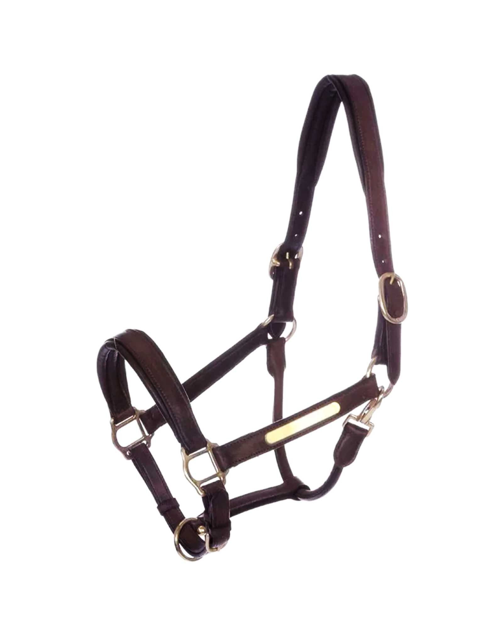Kavalkade Halfter Lederhalfter Soft "Nordic"