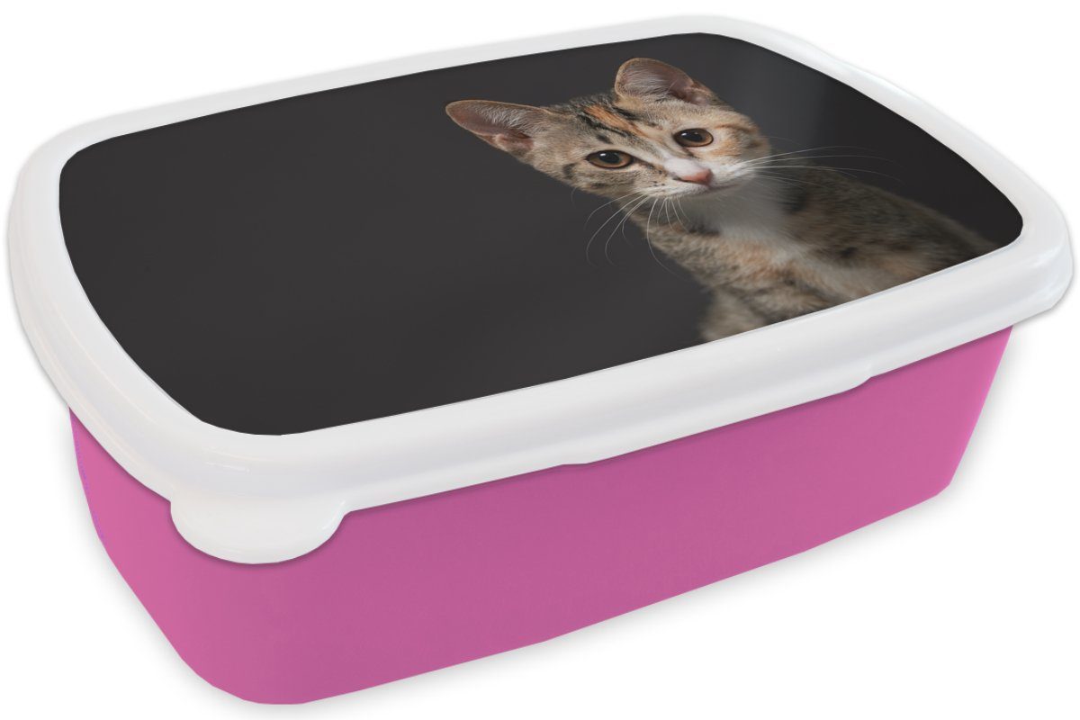 rosa Brotdose Lunchbox Katze für Brotbox MuchoWow Kunststoff Mädchen, Kinder, Schwarz Snackbox, Kunststoff, Erwachsene, - (2-tlg), - Porträt,