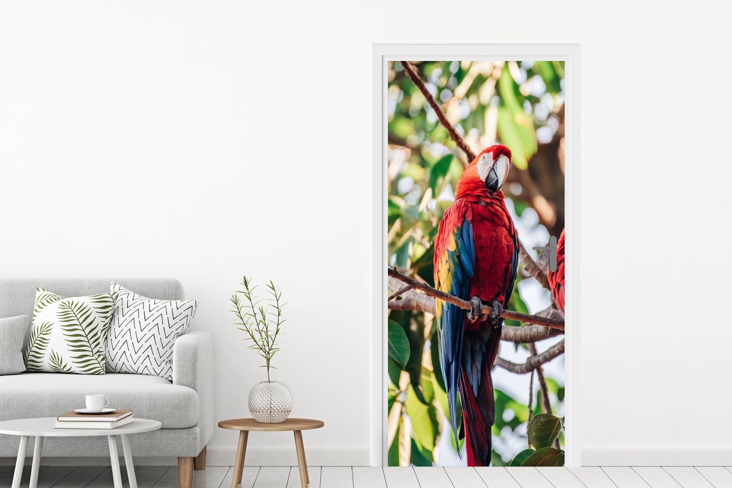 Türtapete 75x205 Papagei bedruckt, für - - cm Baum, (1 Vögel Türaufkleber, St), Fototapete MuchoWow Tür, Matt,