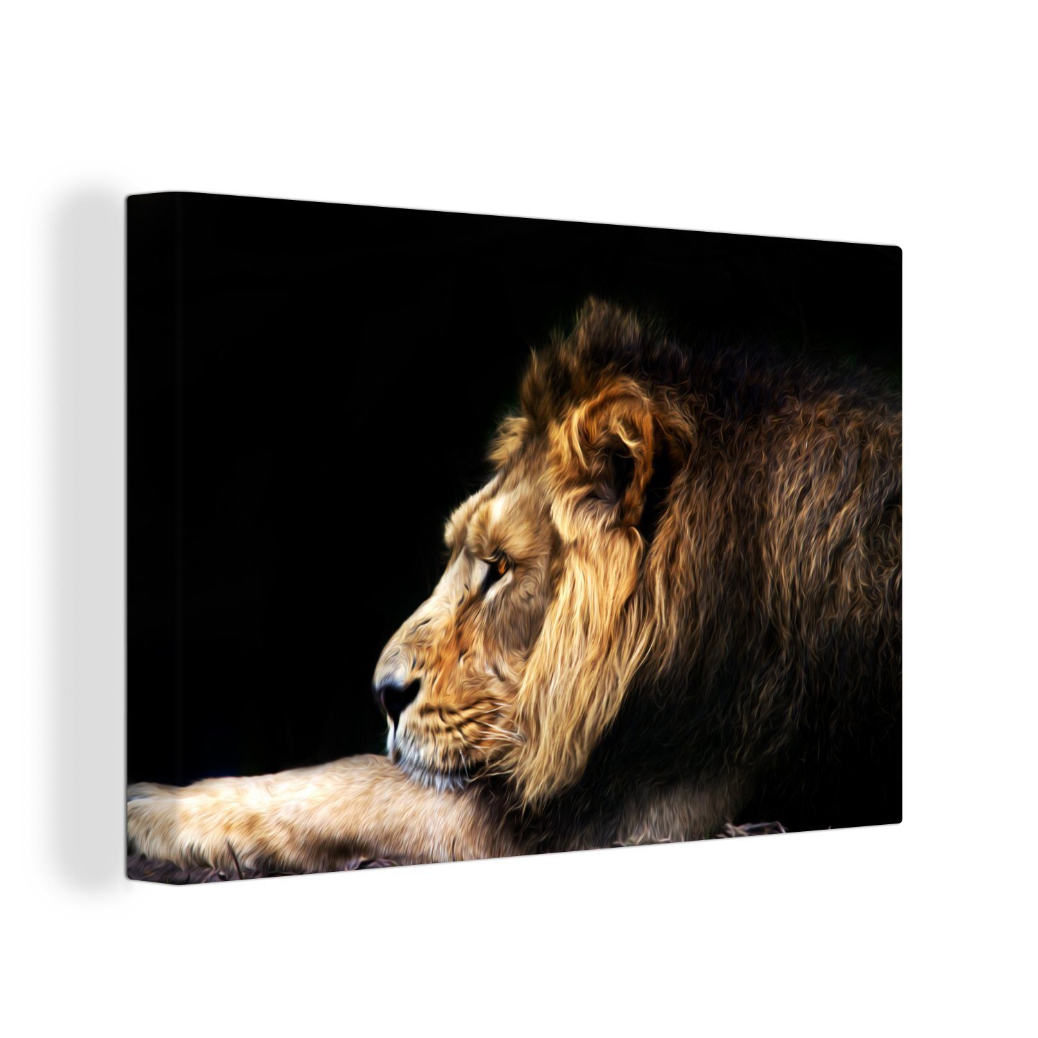 OneMillionCanvasses® Leinwandbild Profil - (1 Leinwandbilder, cm Wandbild Aufhängefertig, St), 30x20 Löwe Wanddeko, Schwarz, 