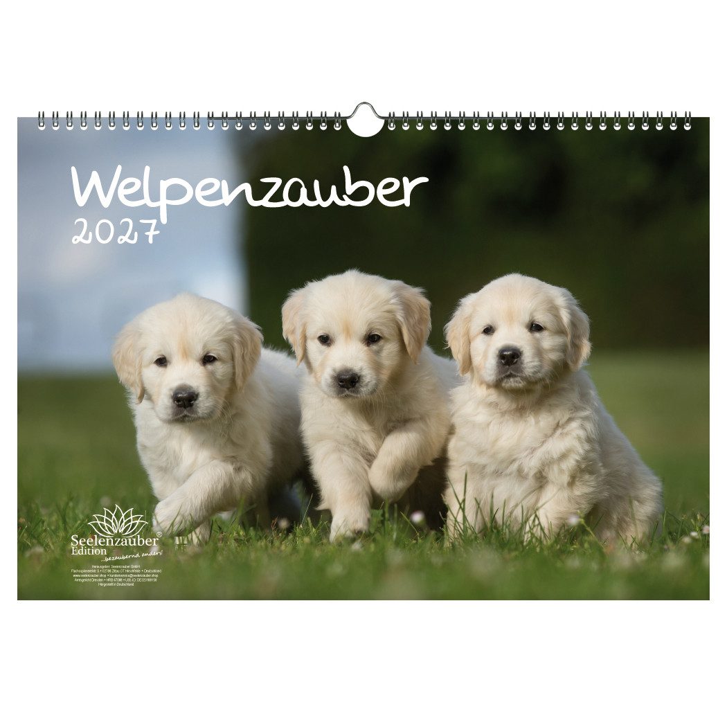 Seelenzauber Welpenzauber DIN A3 Kalender für 2027 Hunde Welpen - Seelenzauber