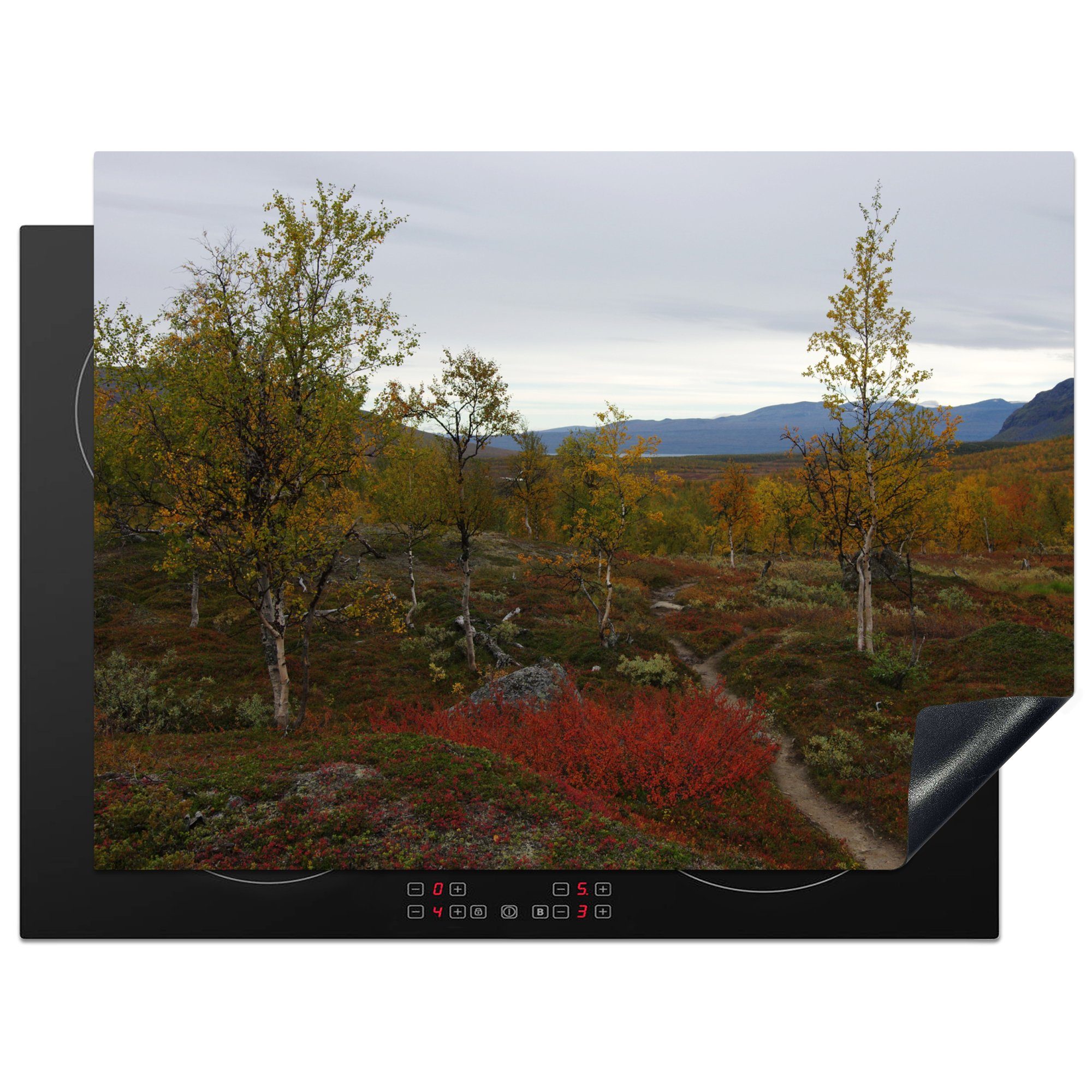 70x52 Vinyl, Arbeitsfläche Ceranfeldabdeckung Herbstlandschaft in MuchoWow Schweden, (1 des nutzbar, Padjelanta-Nationalparks cm, tlg), Die Herdblende-/Abdeckplatte Mobile
