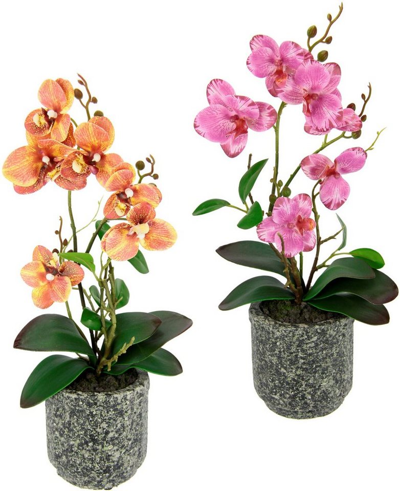 Kunstpflanze Orchidee, I.GE.A., Höhe 38 cm, Mit Blättern und Luftwurzeln,  im Topf aus Keramik, 2er Set