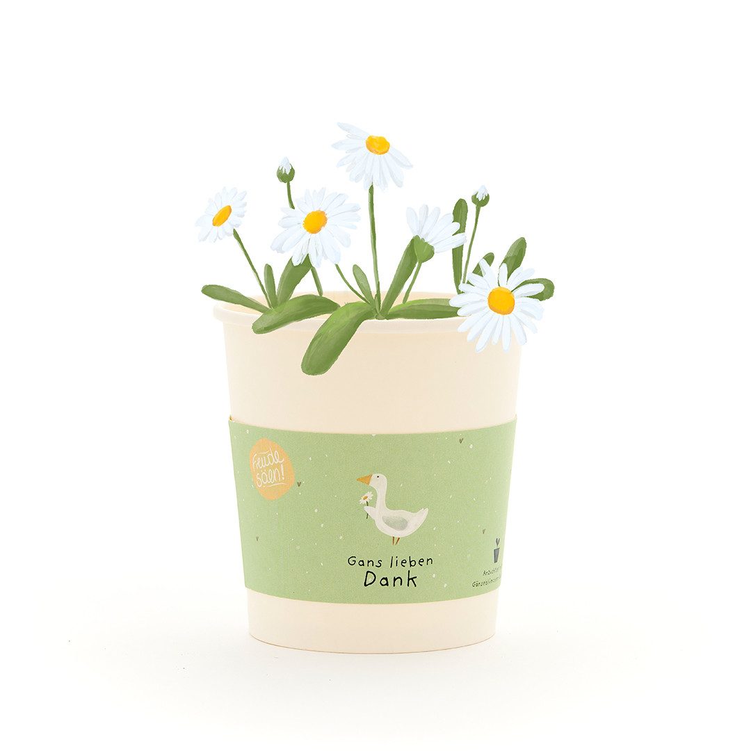 Anzuchttopf Gänseblümchen-Anzuchtset als Dankeschön-Geschenk, Geschenkidee