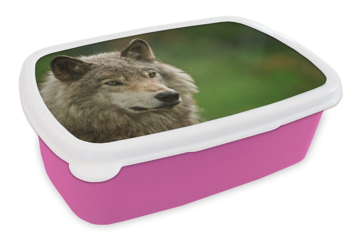 MuchoWow Lunchbox Wolf - Grau - Fell, Kunststoff, (2-tlg), Brotbox für Erwachsene, Brotdose Kinder, Snackbox, Mädchen, Kunststoff rosa