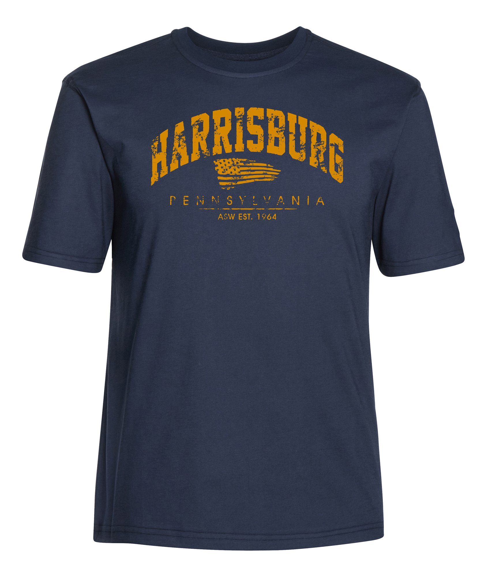 AHORN SPORTSWEAR T-Shirt HARRISBURG mit sportlichem Print dunkelblau