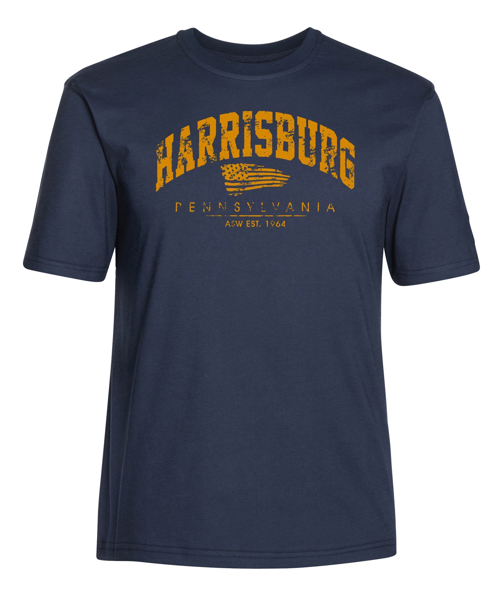 AHORN SPORTSWEAR T-Shirt HARRISBURG mit sportlichem Print