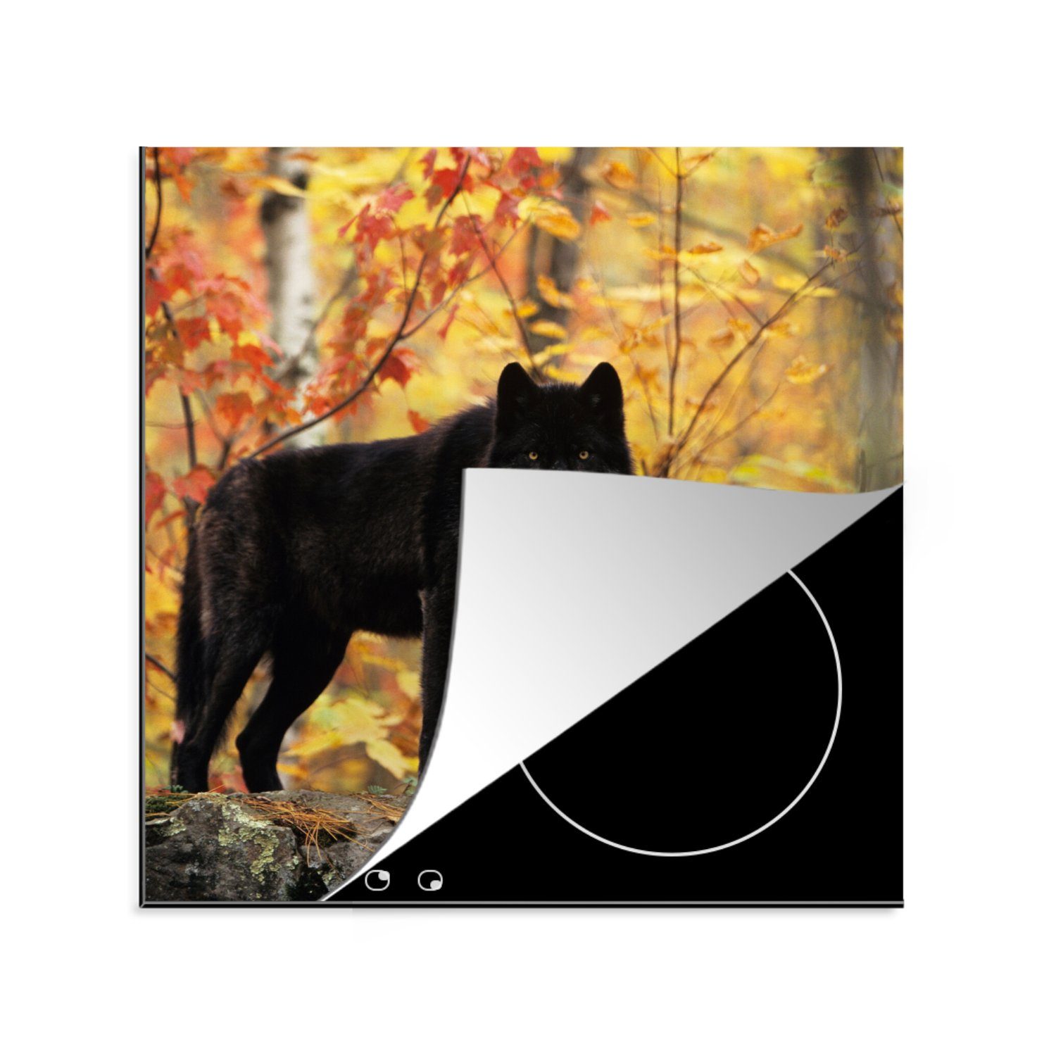 MuchoWow Herdblende-/Abdeckplatte Wolf - Fels - Baum, Vinyl, (1 tlg), 78x78 cm, Ceranfeldabdeckung, Arbeitsplatte für küche