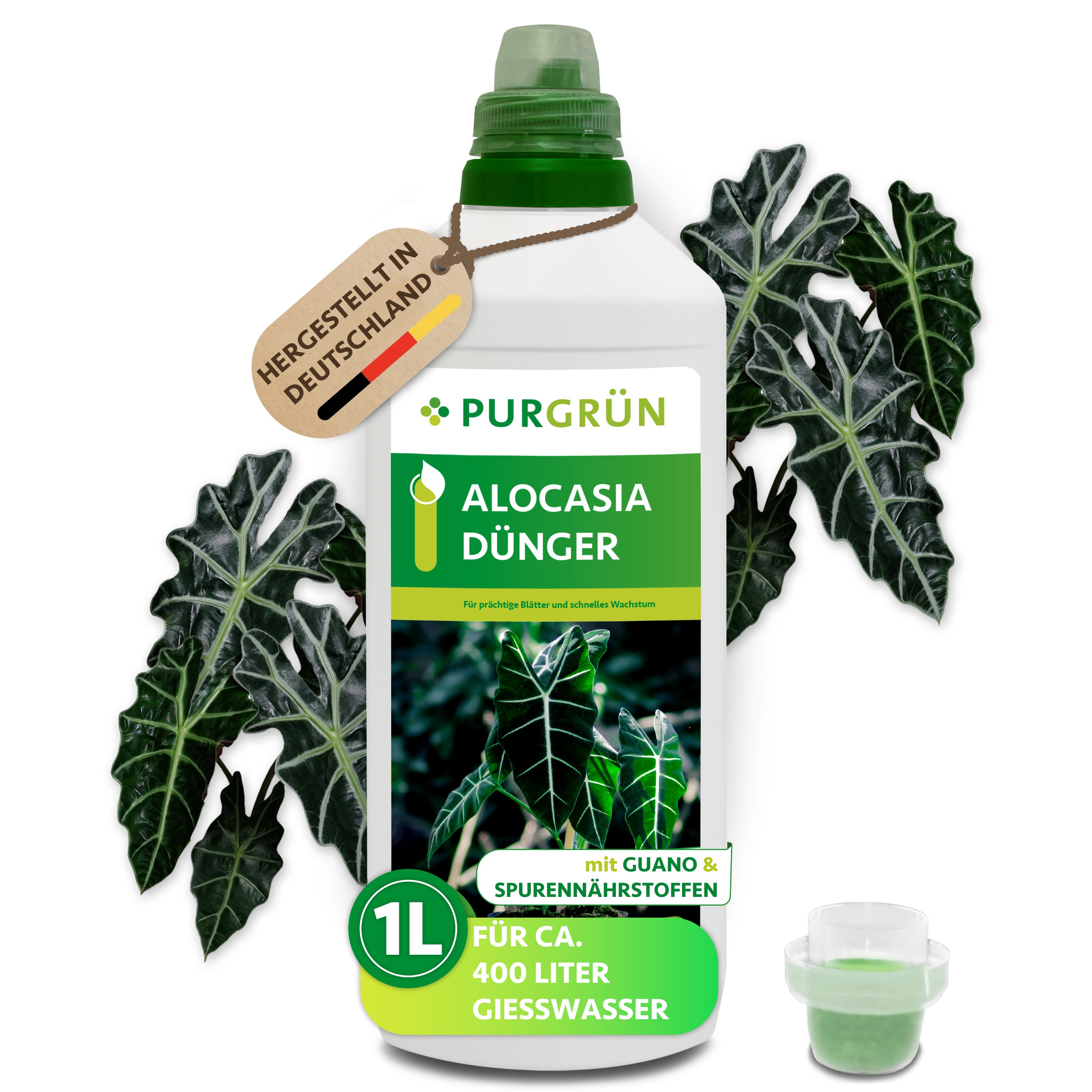 Purgrün Universaldünger Alocasia Dünger, NPK 7+5+6, stärkt Blattwachstum, 1 Liter, Flüssigdünger, 1-St., 1 Liter