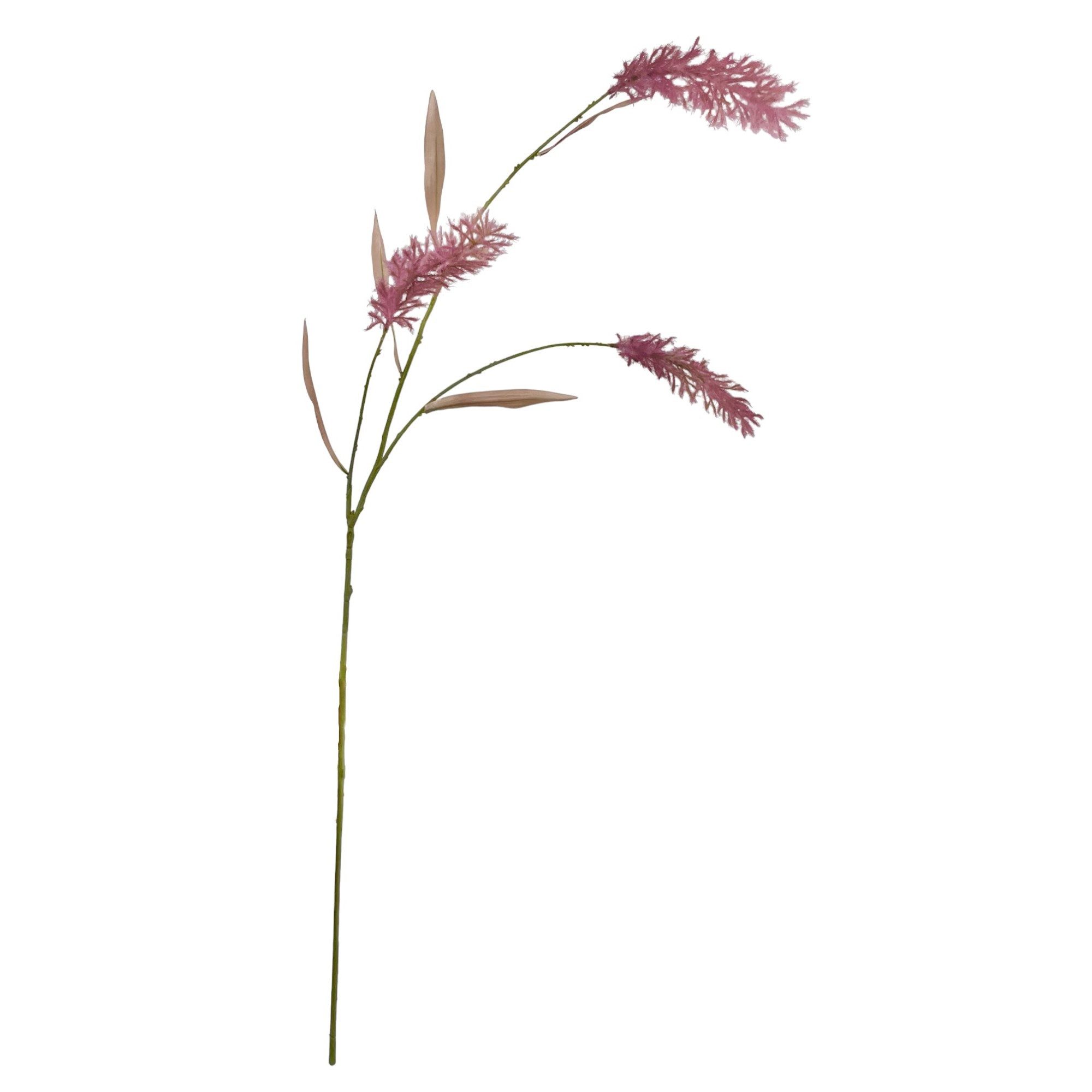 Kunstzweig Künstliches Pampasgras ca. 120cm Rosa BURGUND. Trockenblumen-Optik, Floratexx GmbH, Höhe 120.00 cm