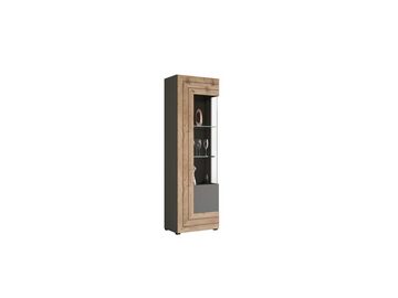 furnling Vitrine Bogota 60 x 195 x 37 cm in matt grau/Eiche, Schrank