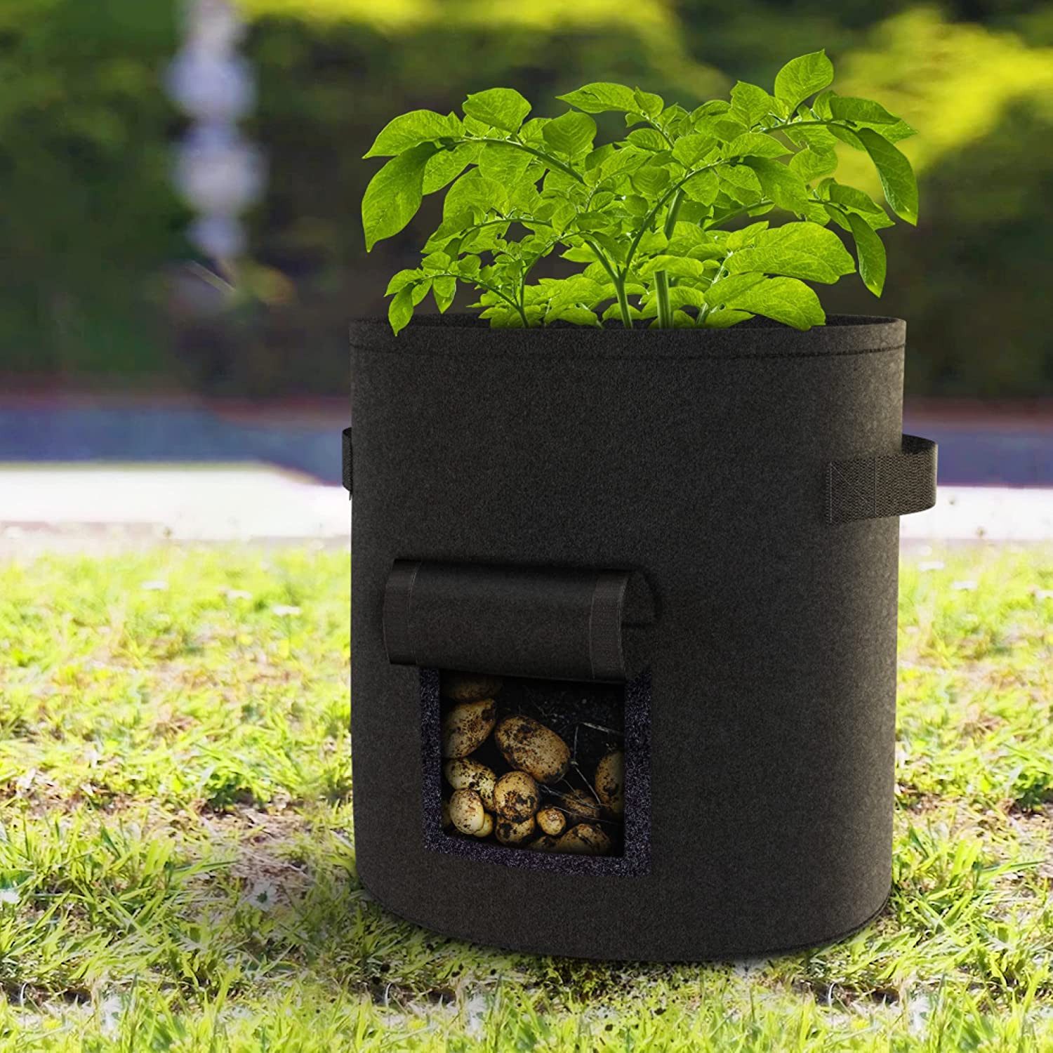 Praknu Pflanzkübel Kartoffelsack Pflanzsack 3er Set - 40L Groß - Mit Sichtfenster und (3er Set, 3 St)