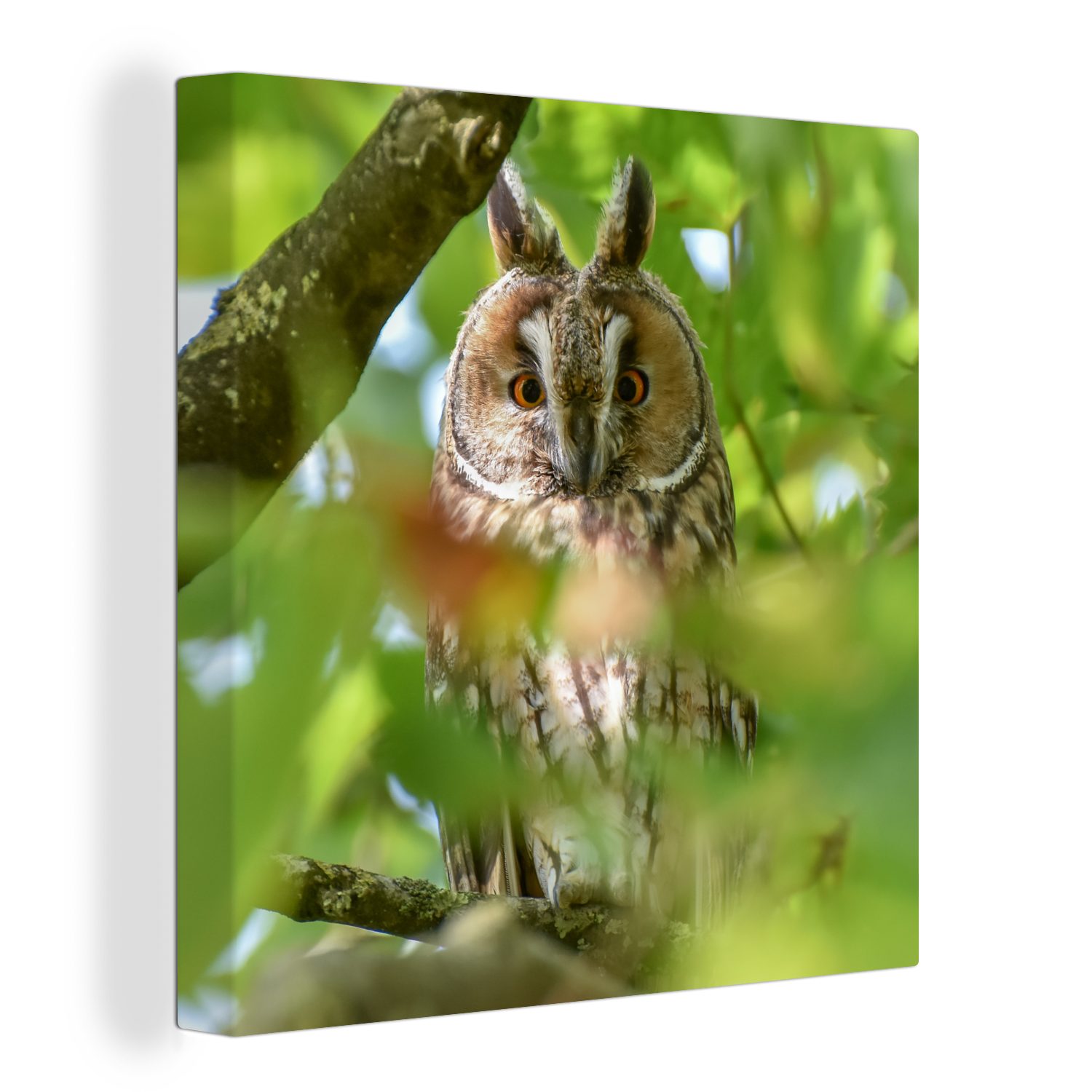 OneMillionCanvasses® Leinwandbild Bild einer Waldohreule inmitten von Blättern, (1 St), Leinwand Bilder für Wohnzimmer Schlafzimmer