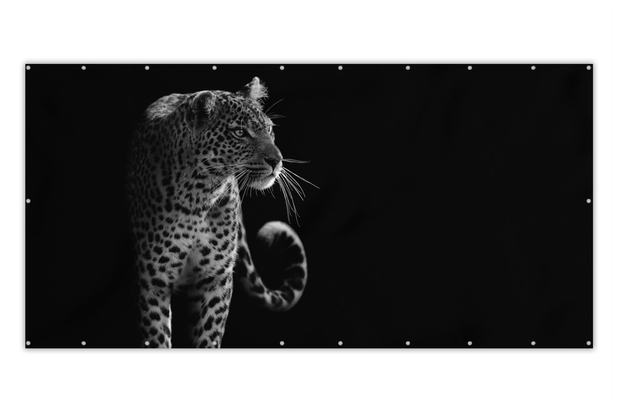 MuchoWow Balkonsichtschutz Wildtiere - Leopard - Natur - Schwarz - Weiß (1-St) Balkonbespannung mit Metalösen, UV-beständig, Balkonbanner