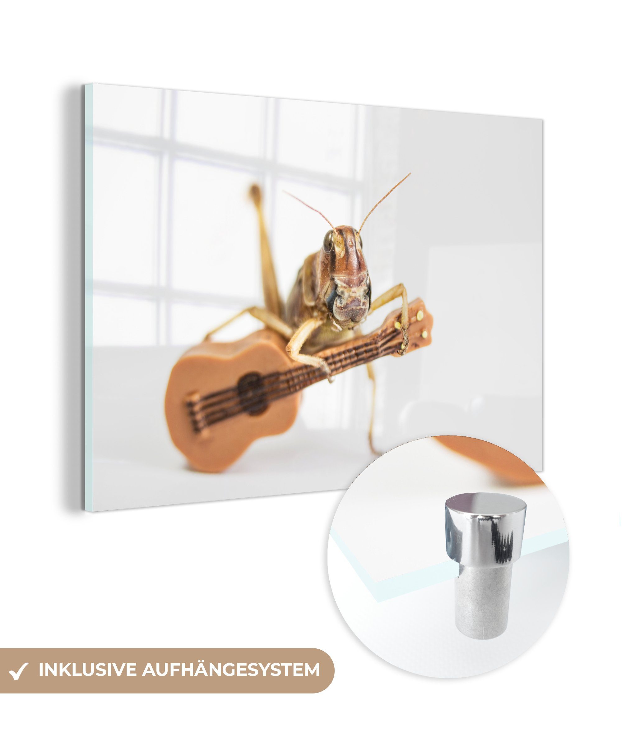 MuchoWow Acrylglasbild Grashüpfer - Gitarre - Tiere, (1 St), Acrylglasbilder Wohnzimmer & Schlafzimmer