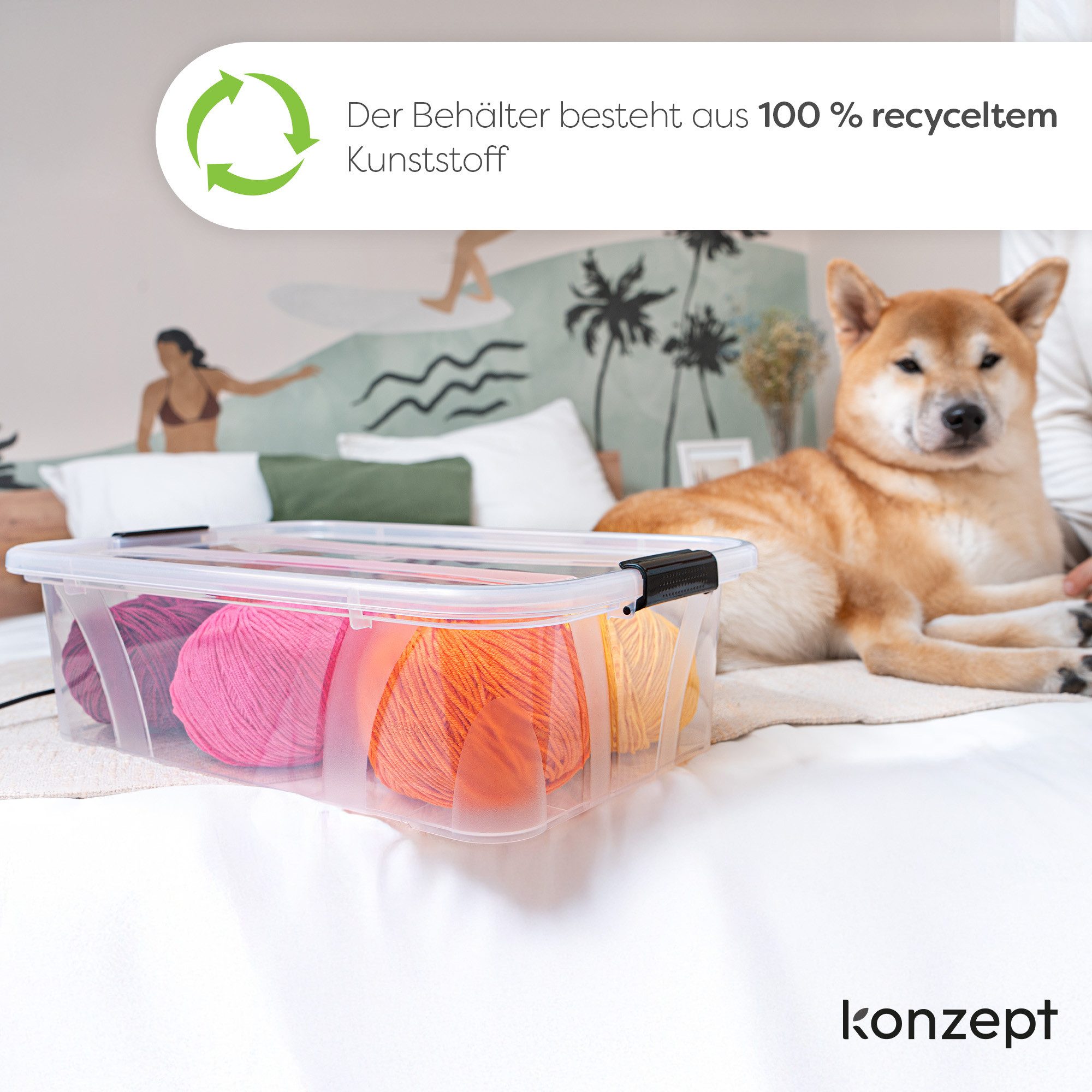 KONZEPT Aufbewahrungsbox mit Deckel, Stapelbox, BPA-frei, günstig online kaufen