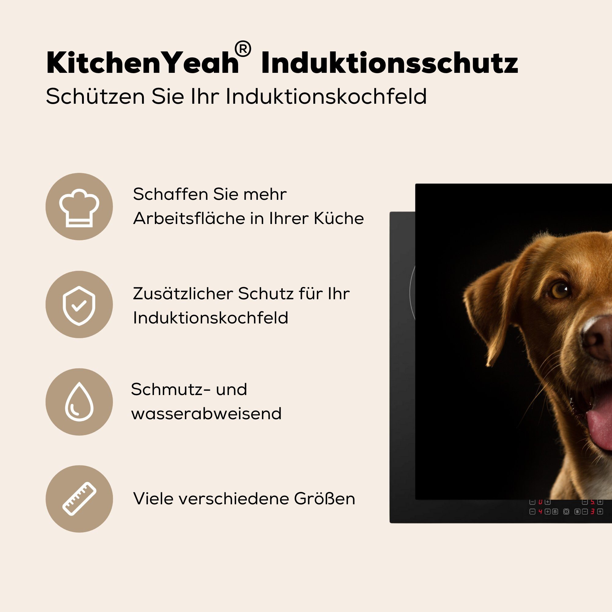 Vinyl, Induktionskochfeld - Haustiere cm, MuchoWow Schutz für Ceranfeldabdeckung (1 Hund die küche, Porträt, Herdblende-/Abdeckplatte tlg), 71x52 -