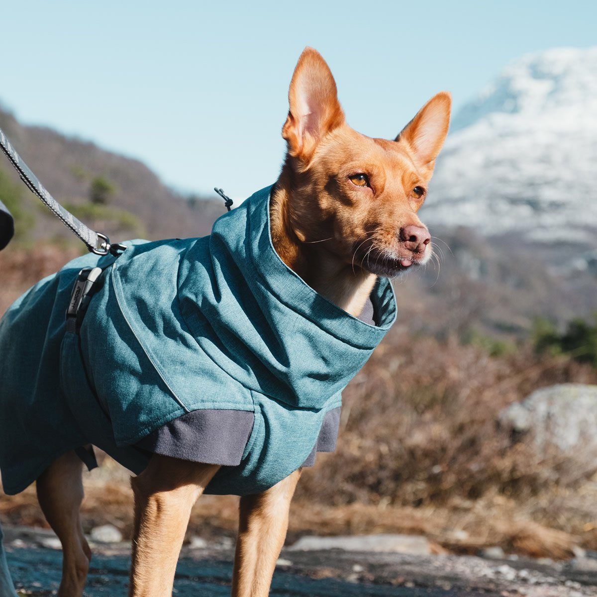HURTTA Hundemantel Expedition Wintermantel blau