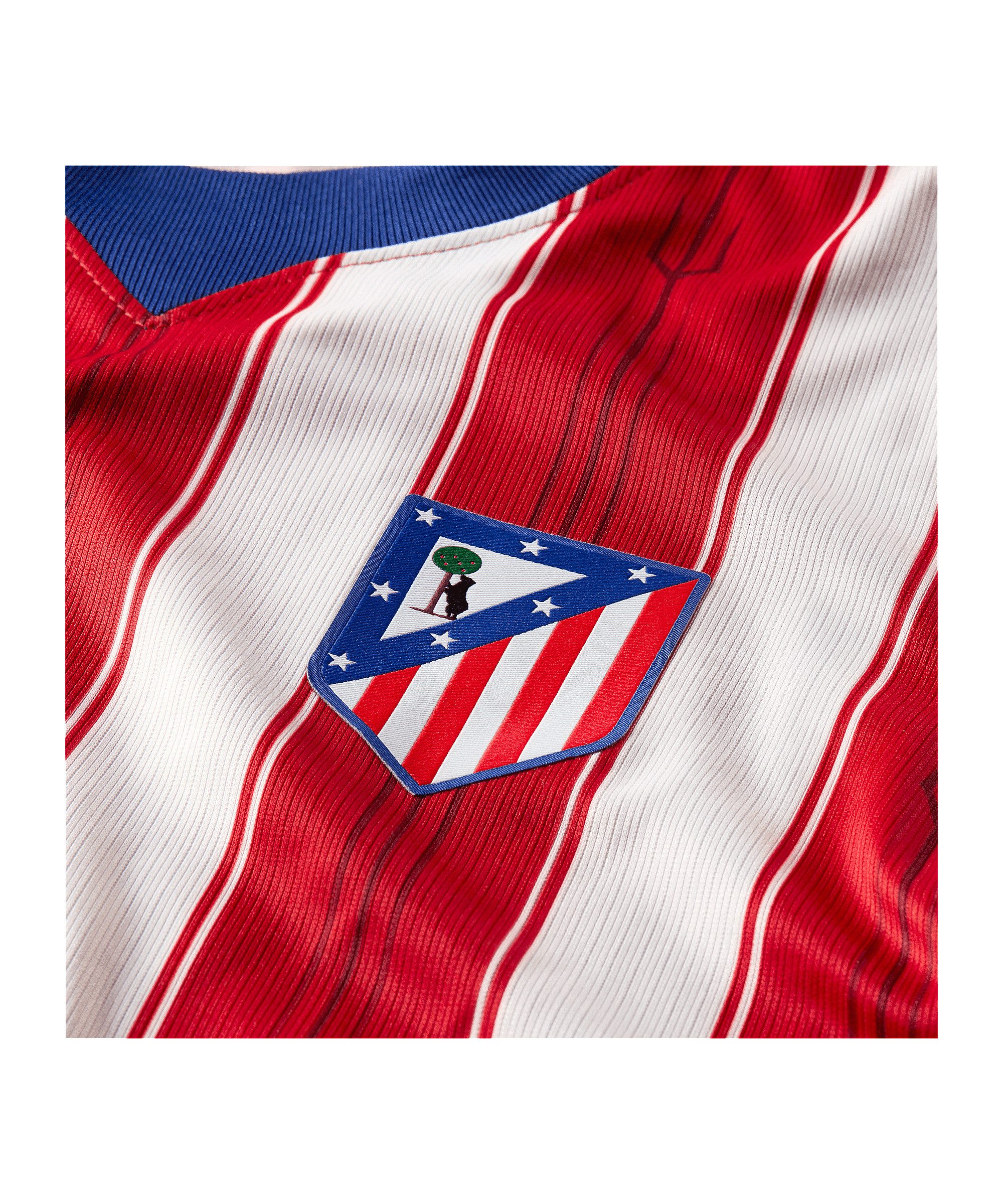 Nike Fußballtrikot Nike Performance Primera Division