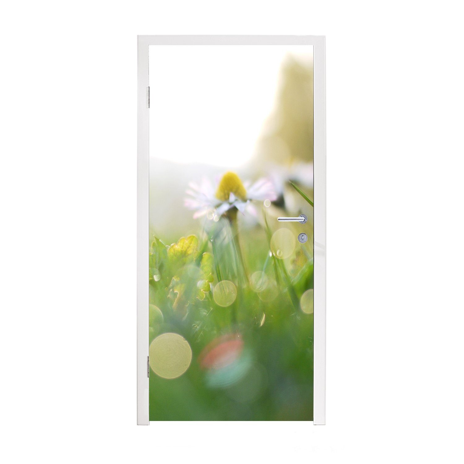 MuchoWow Türtapete Ein Gänseblümchen mit frühem Tau, Matt, bedruckt, (1 St), Fototapete für Tür, Türaufkleber, 75x205 cm