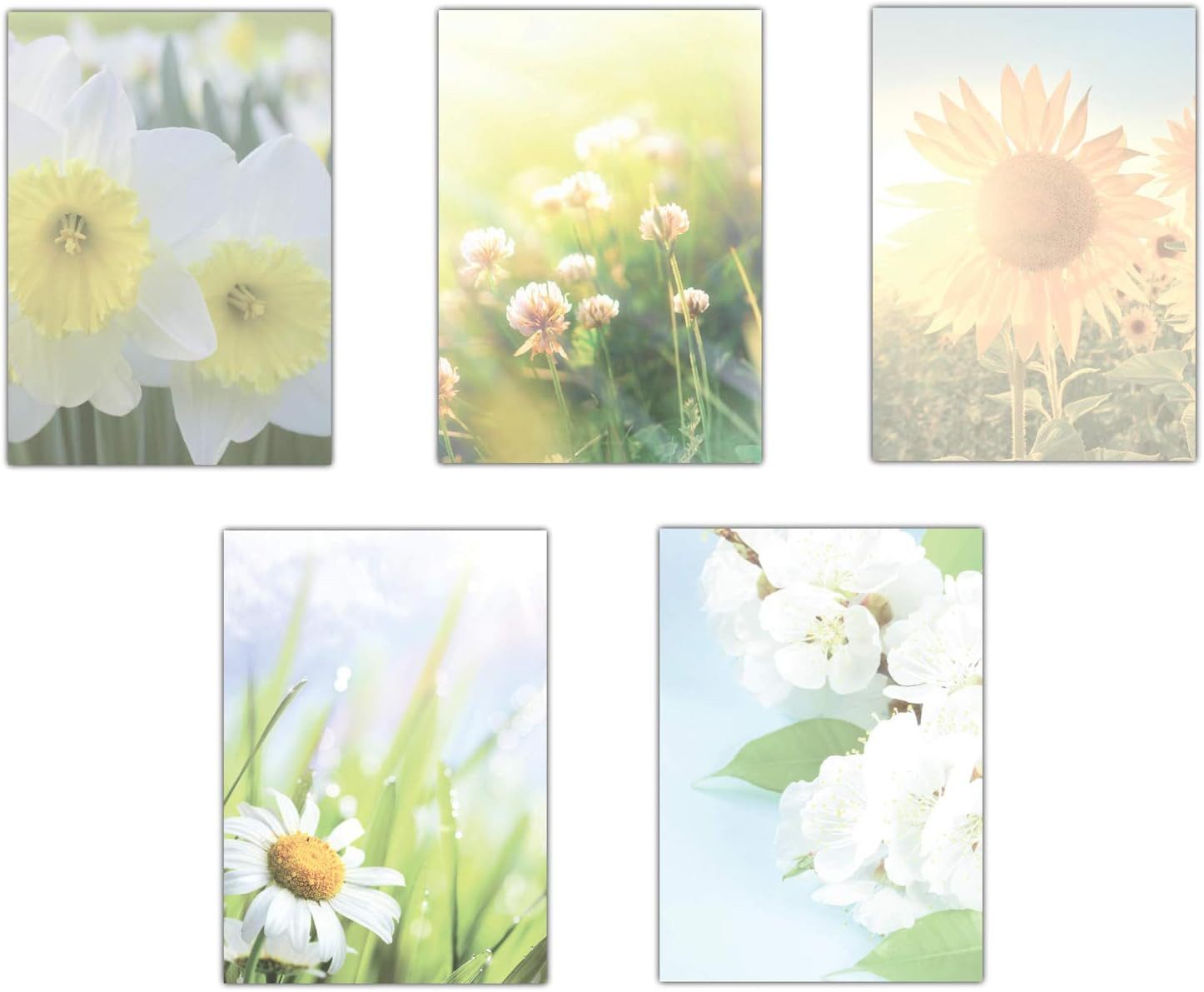 LYSCO Briefpapier Set Motivpapier Narzissen Klee Sonnenblume Margeriten Blumen(MPA-5233), blumige Atmosphäre, für alle Drucker geeignet.